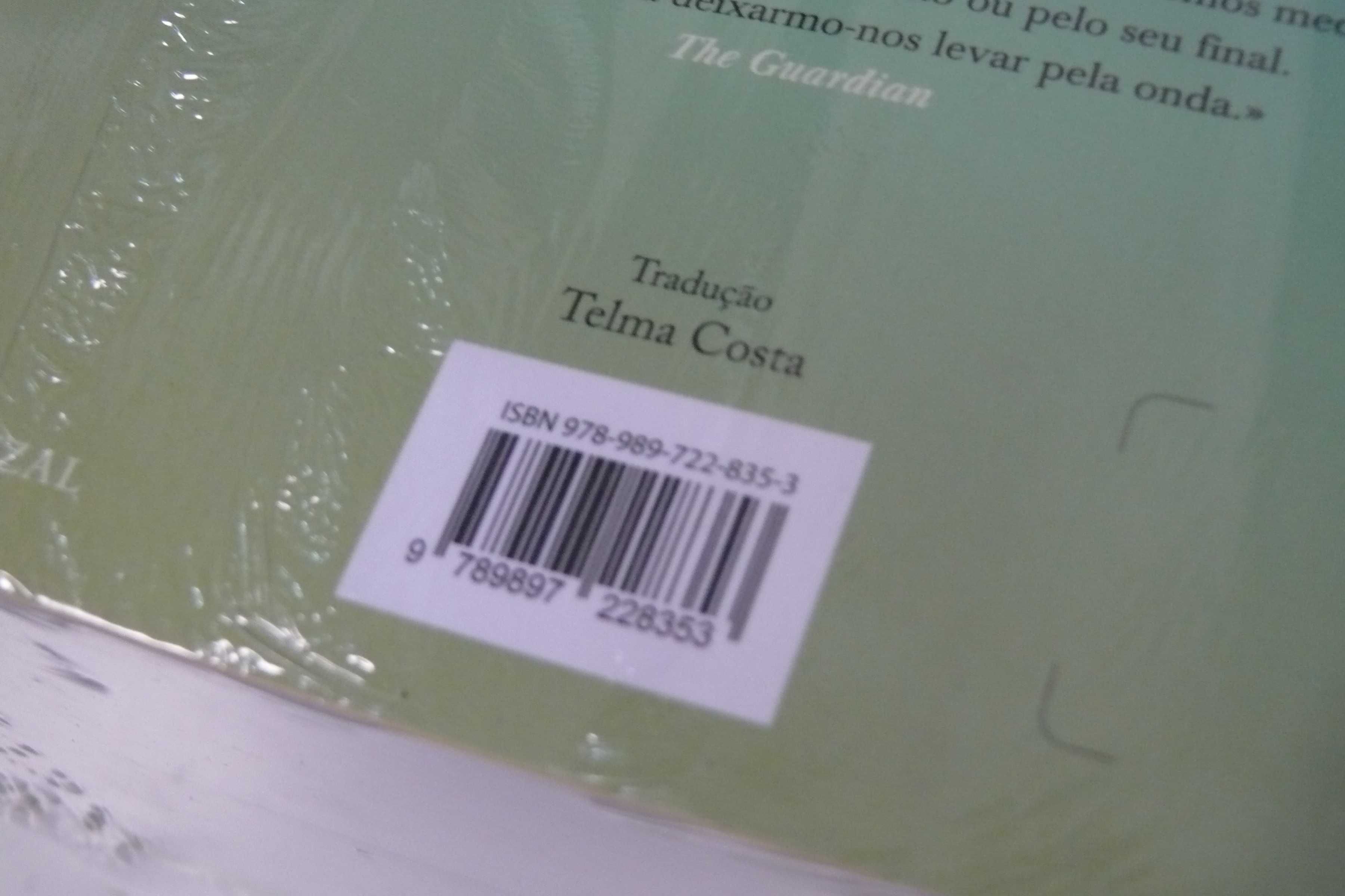 Livro - Debaixo da Onda em Waimea de Paul Theroux