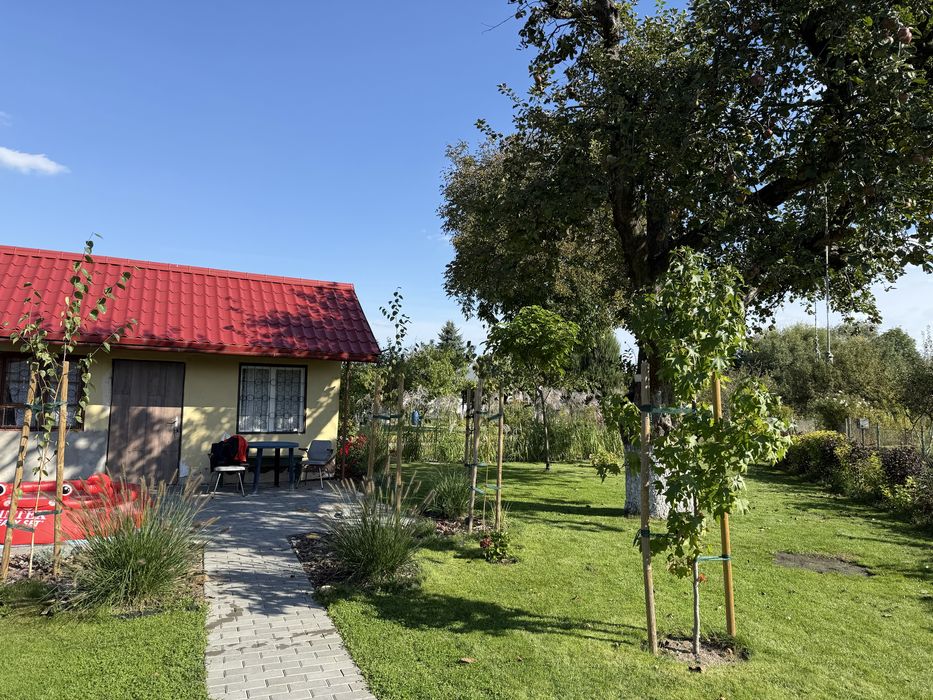 Działka ROD Dzierżona Nysa