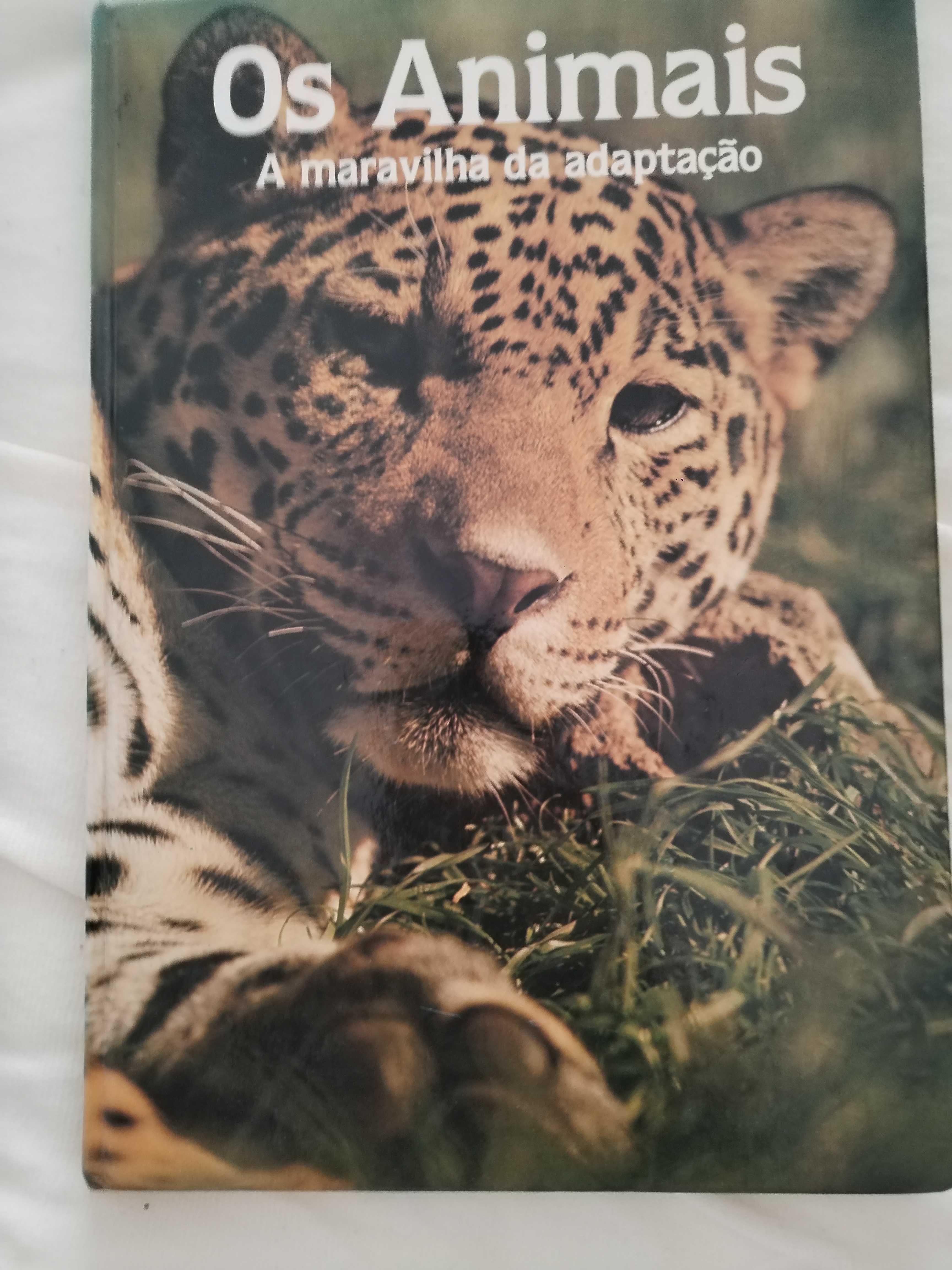 Animais the animal world 1987