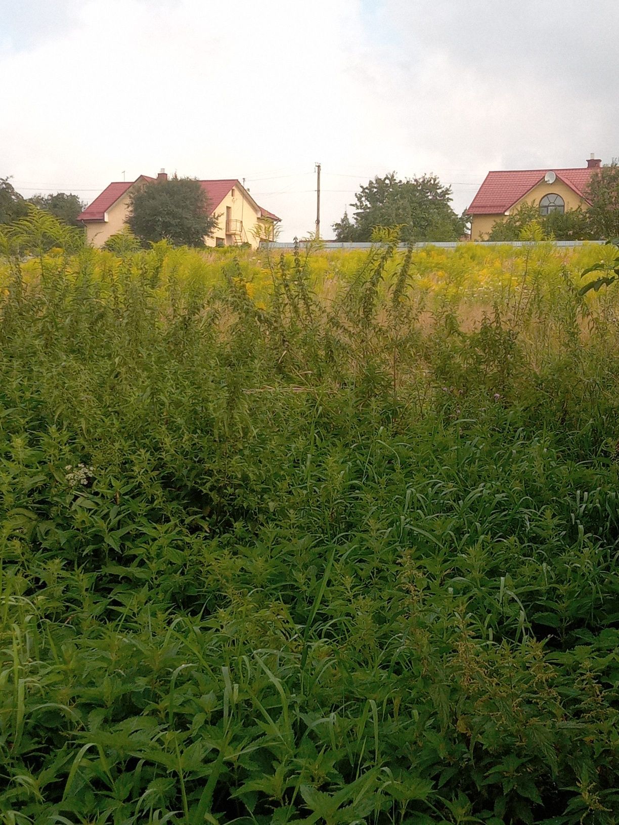 Земельна ділянка в селі Зубра