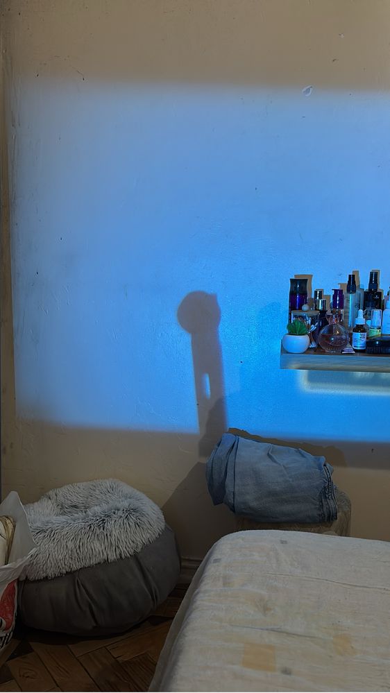 Projetor Prixton Para peças