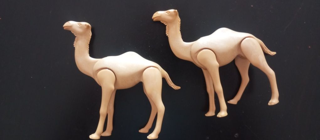 Camelo Playmobil