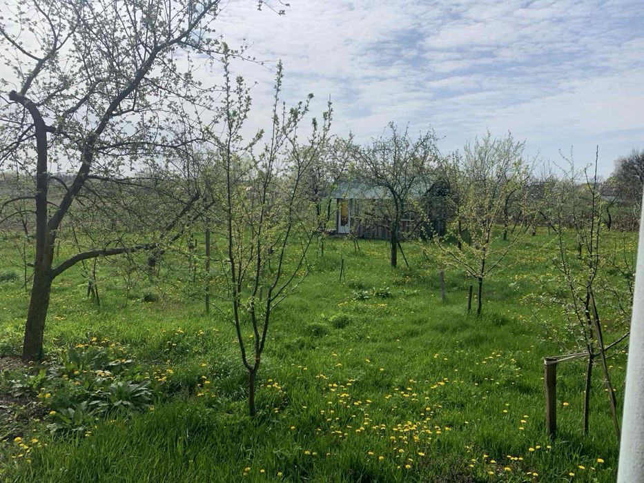 Продаж  будинку, для великої родини, в екологічно чистому с. Тубільці