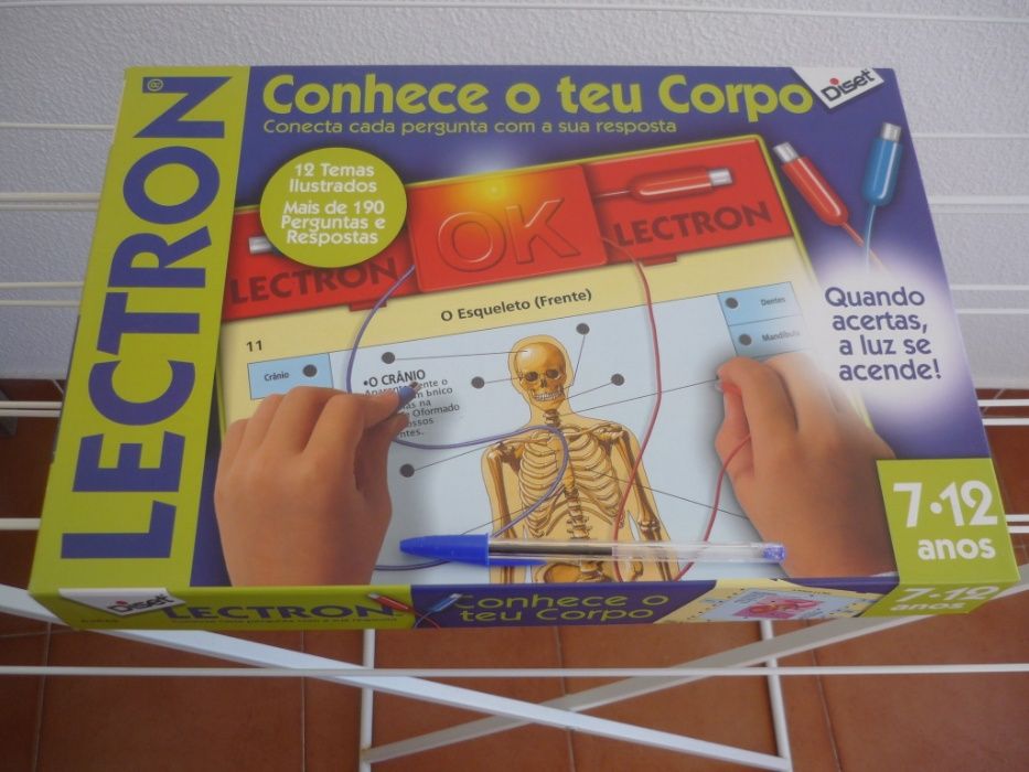 Jogos Didáticos: 1ºOs transportes/2º Conhece o Teu Corpo