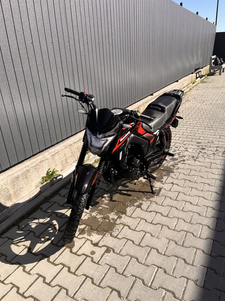 musstang region mt250