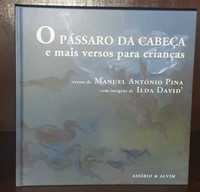 Vendo livro O Pássaro da Cabeça