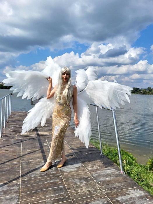 Крылья шестикрылого ангела