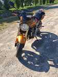 Honda Hornet 600 PC36 2005r.