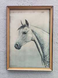 Stary obraz, stara grafika Koń