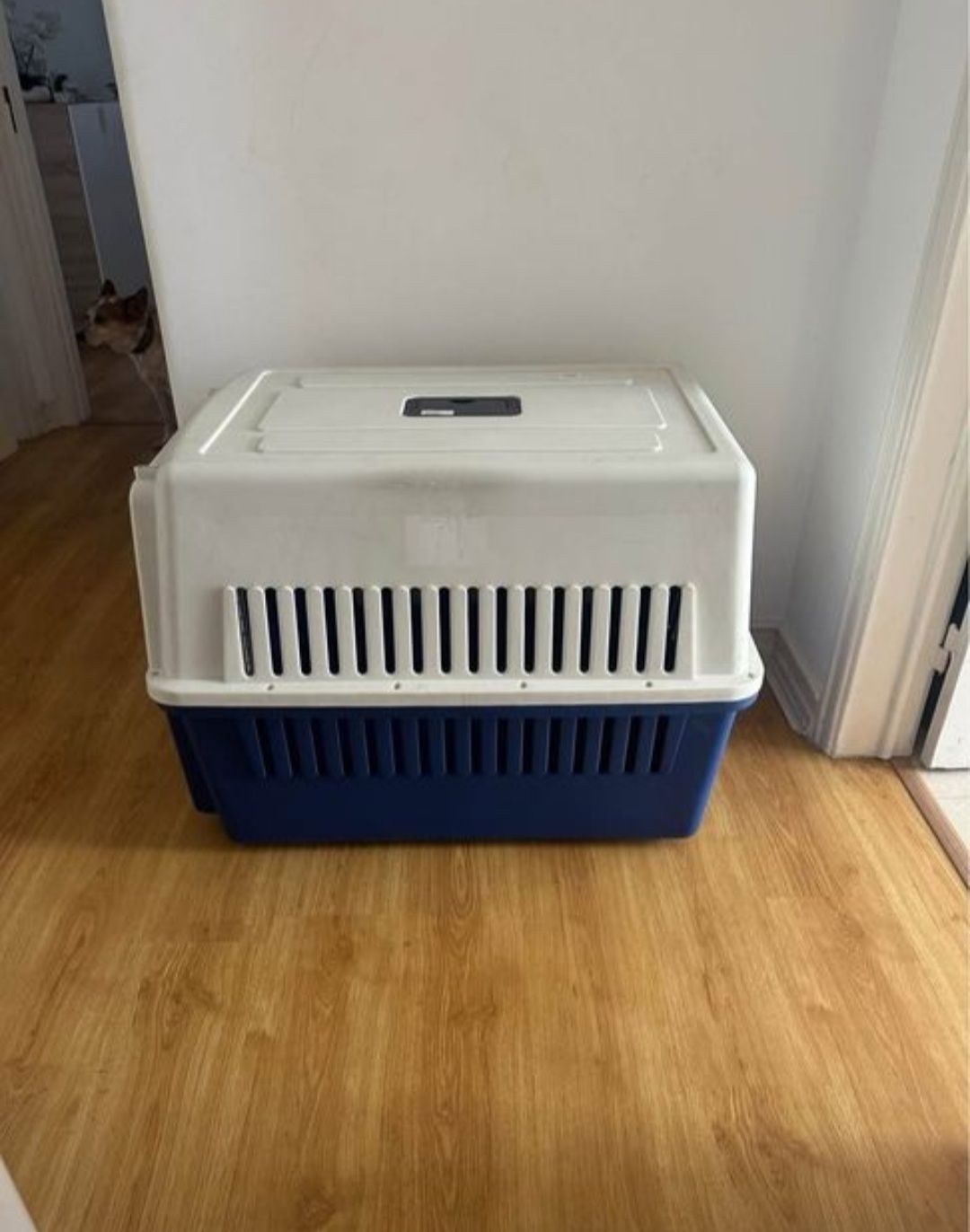 Caixa de Transporte para Cão (Negociável)