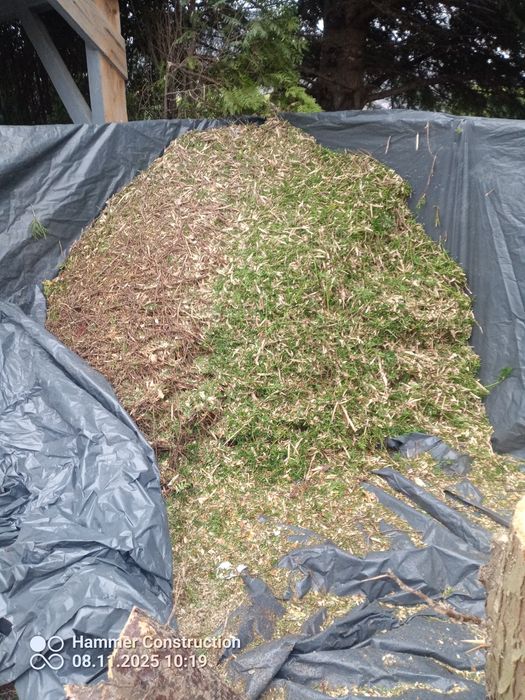 Zrębki drzewne z Tuji