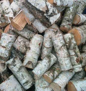 Drewno kominkowe drewno opałowe brzoza / sezonowane w stodole