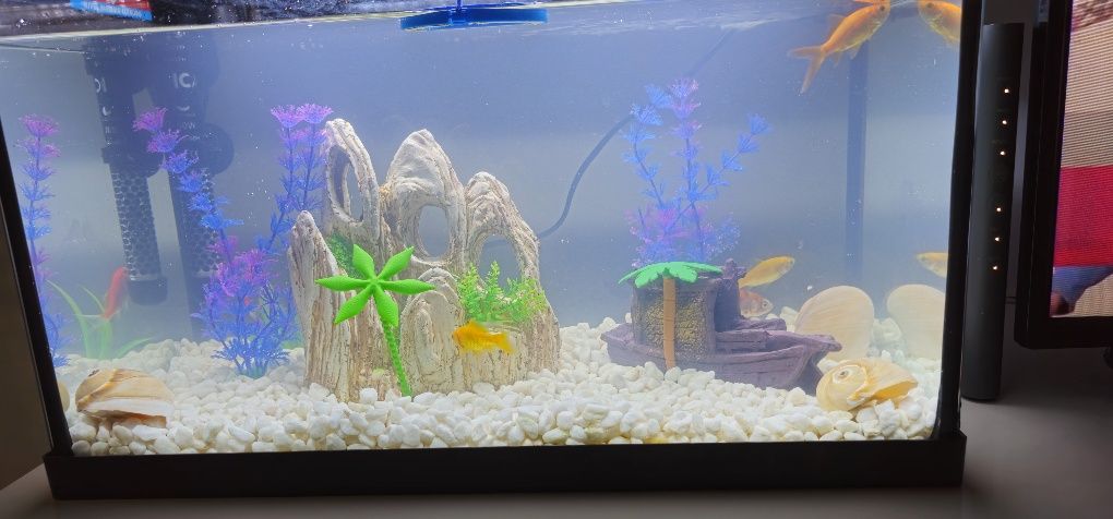 Aquário de 48L tudo resto