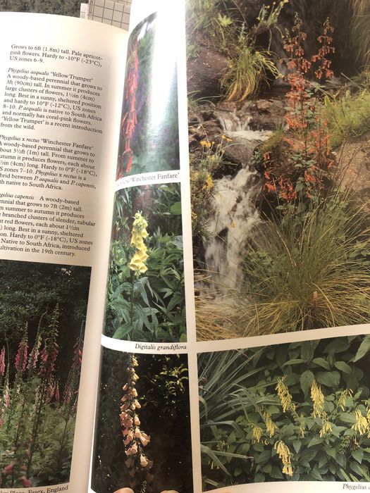 Livro de consulta “Perfect Plants”, Random House