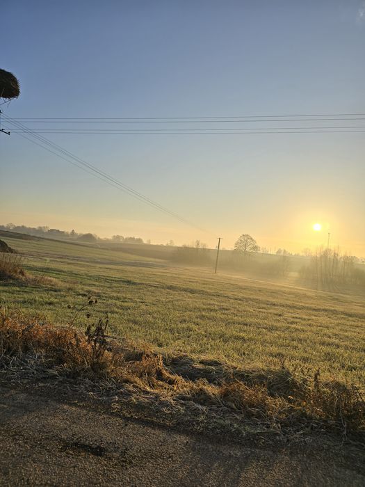 Działka 3600 m² Bargłów Dworny – spokojna okolica, blisko Augustowa