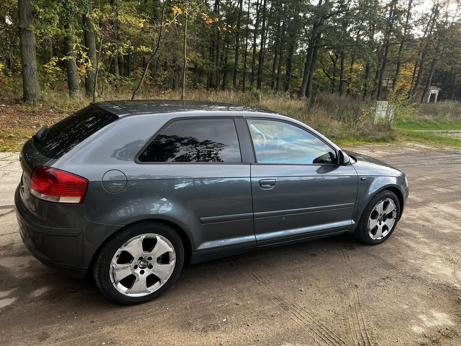 Audi a3 8p 1.9tdi 105PS