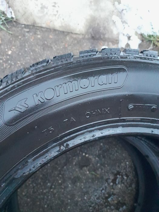 Kormoran 2sztuki. zimowe