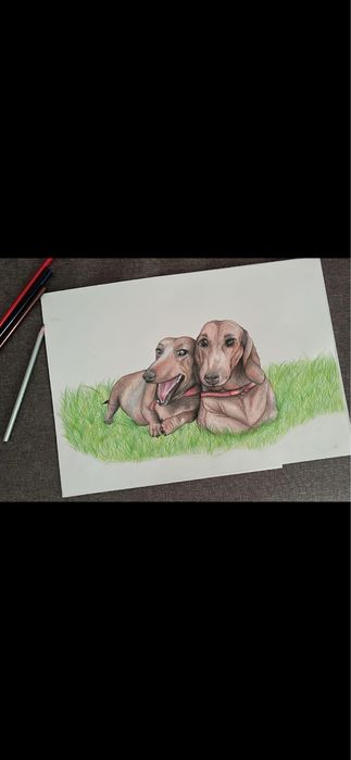 продаю малюнки , портрети, намалюю ваших домашніх улюбленців