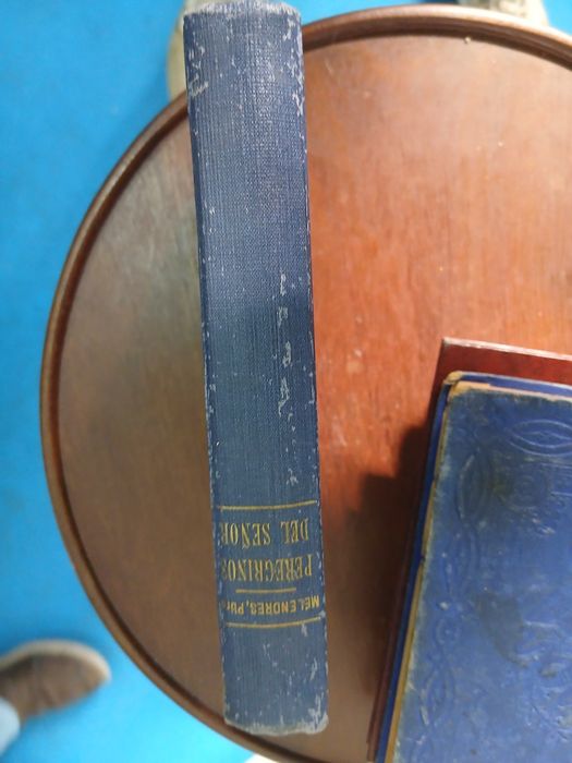 Miguel Melendes Pinto, Peregrinos Del Senor (ass pelo autor)