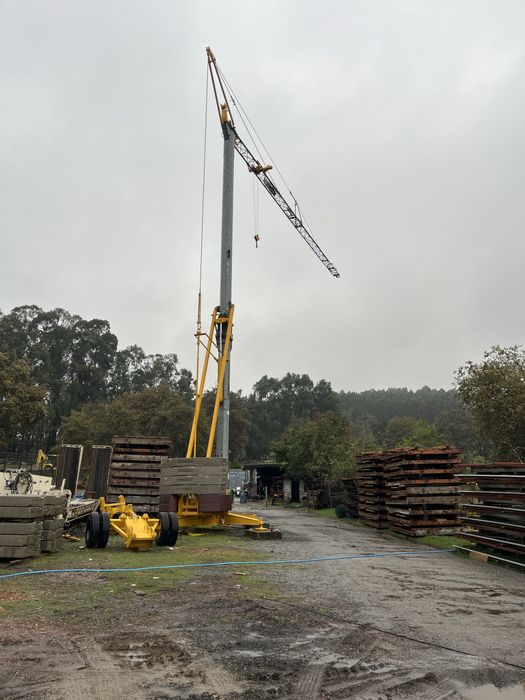 Grua automontante 24mt