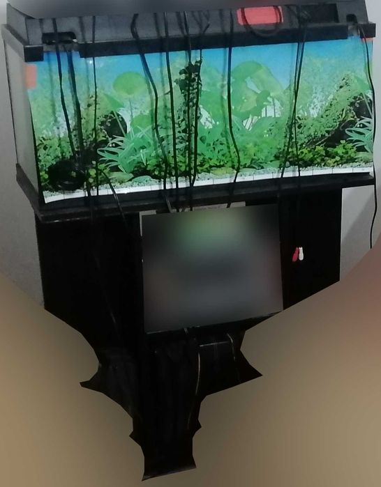 Aquário completo (Aquário + Termostato + Filtro + Móvel + Luz + ..)