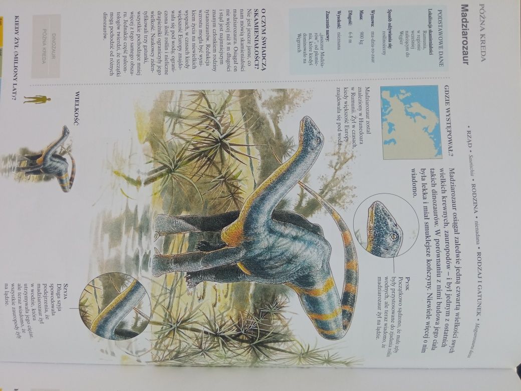 Encyklopedia dinozaurów i innych zwierząt prehistorycznych Carl Mehlin