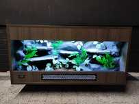 Terrarium wąż pyton boa PETMARKET