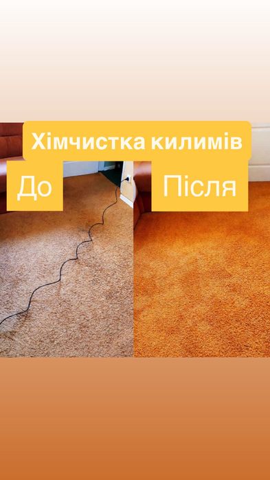 Професійна чистка килимів
