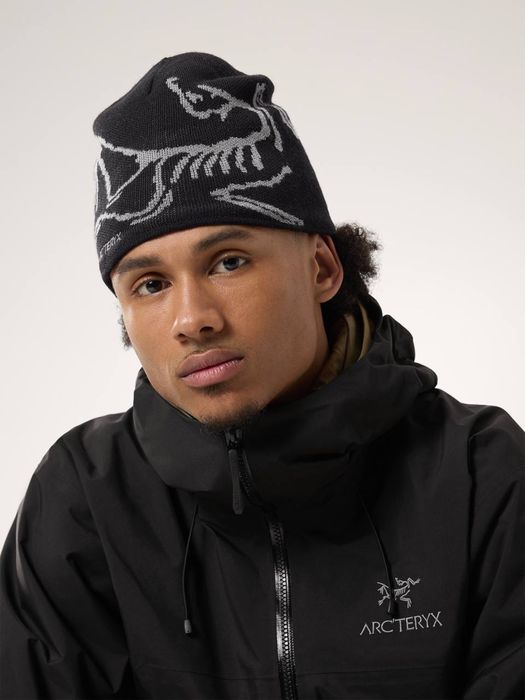 Шапка Arcteryx Bird Head Toque 2025