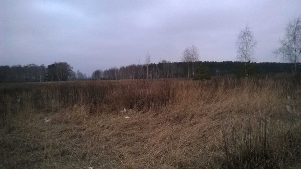 Продам земельну ділянку 1 га за межами села Рожівка, Броварський район