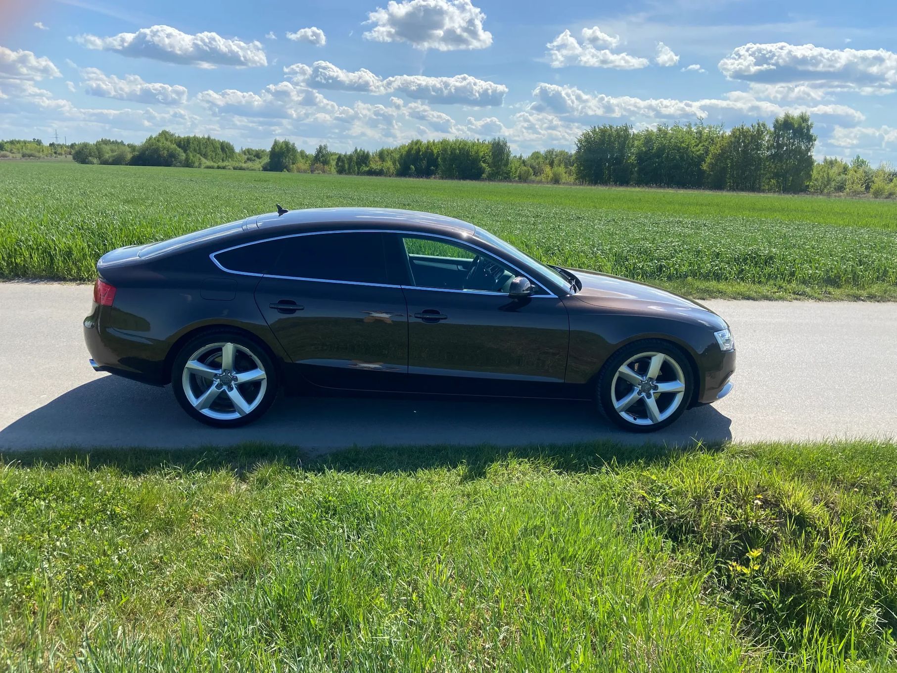 Audi A5 AudiI A5 Sportback 3.0 TDI quattro S tronic