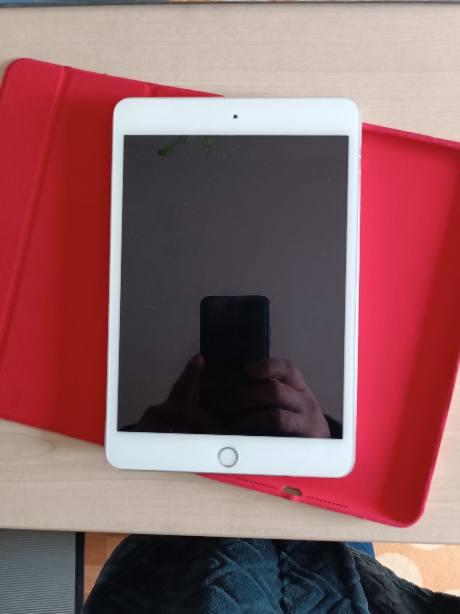 Apple iPad 4 mini