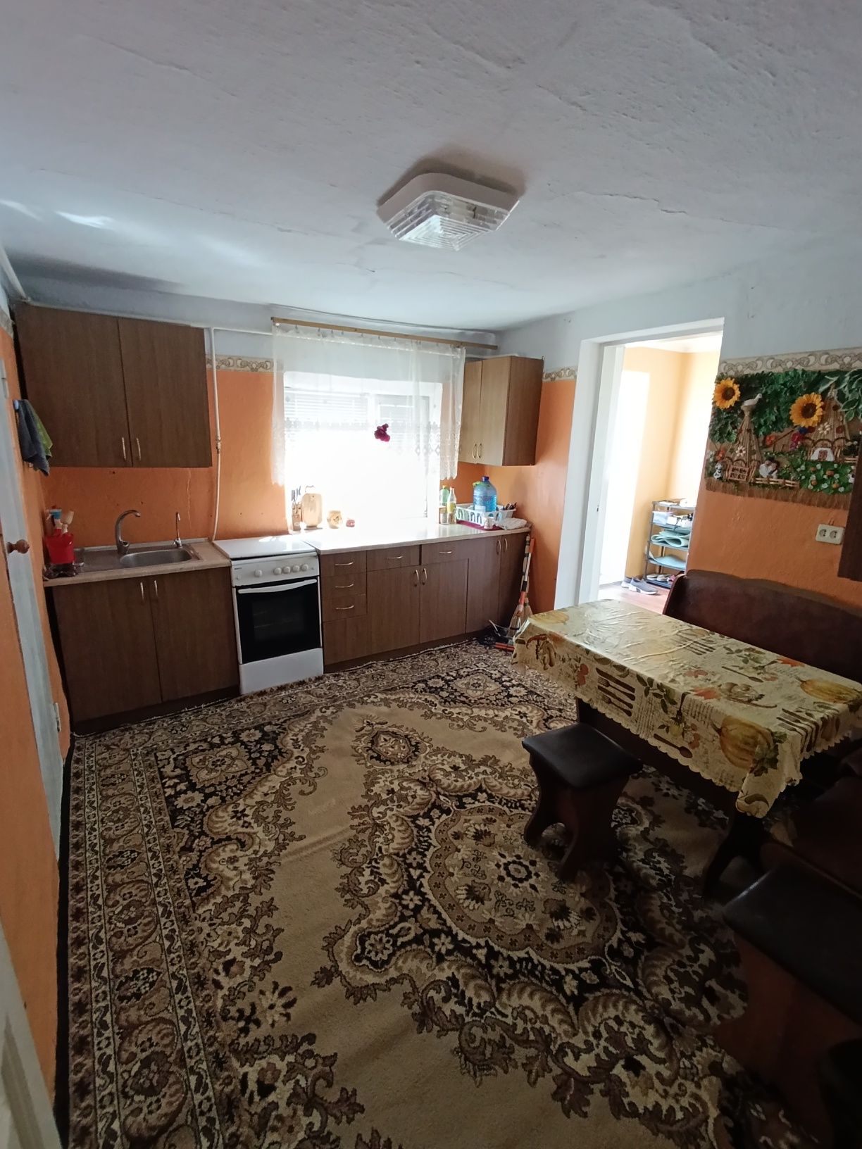 Продам будинок Шверніка ( Білого Сидора )+ 20 кВт сонячні панелі зелен