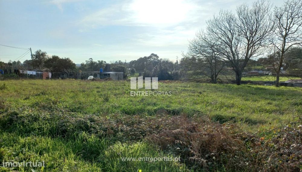 Venda de Terreno, Serreleis, Viana do Castelo