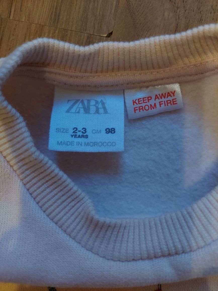Свитшоты Zara 98-104 на флисе свитер кофта для двойни близнецов