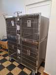 Módulo de 4 jaulas para clinica veterinária