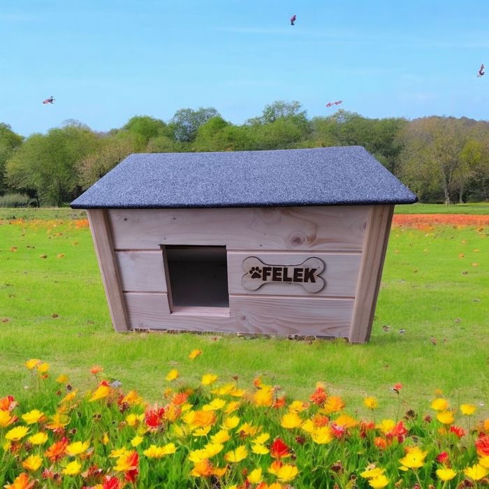 Buda dla psa , kota lub innego pupila