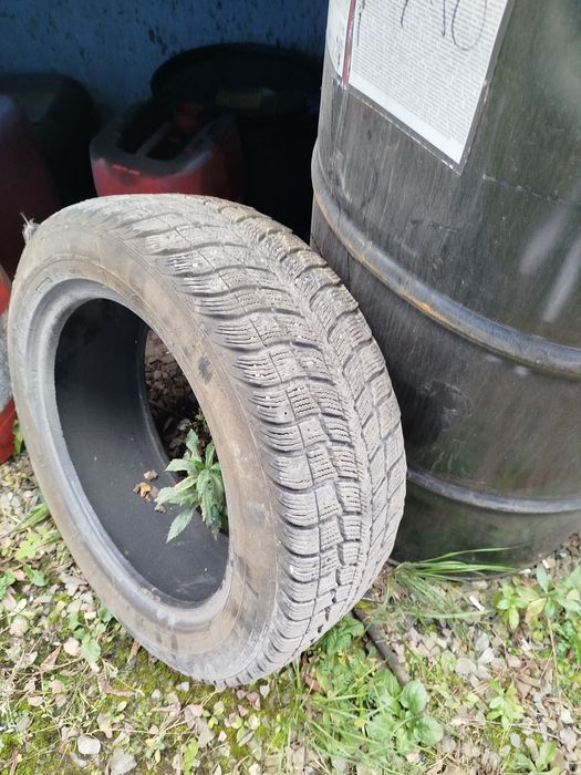Шина 205/55r16 зимова