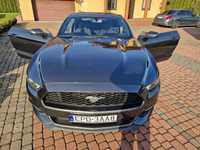 Ford Mustang Ford mustang 3.7 z USA zarejestrowany w pl 2016r.