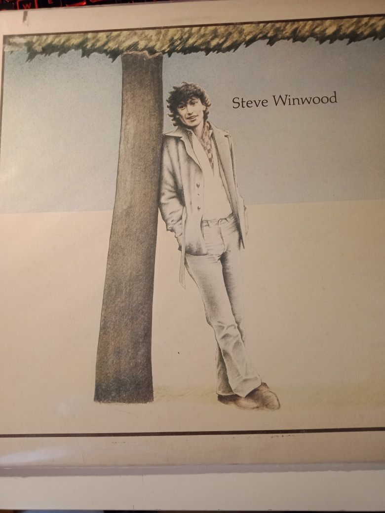 Steve Winwood płyta winylowa