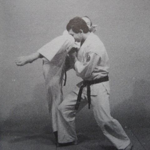 Collins - Kyokushin Knockdown Karate /Oyama,Cook,Bruin,Fitkin,Arneil