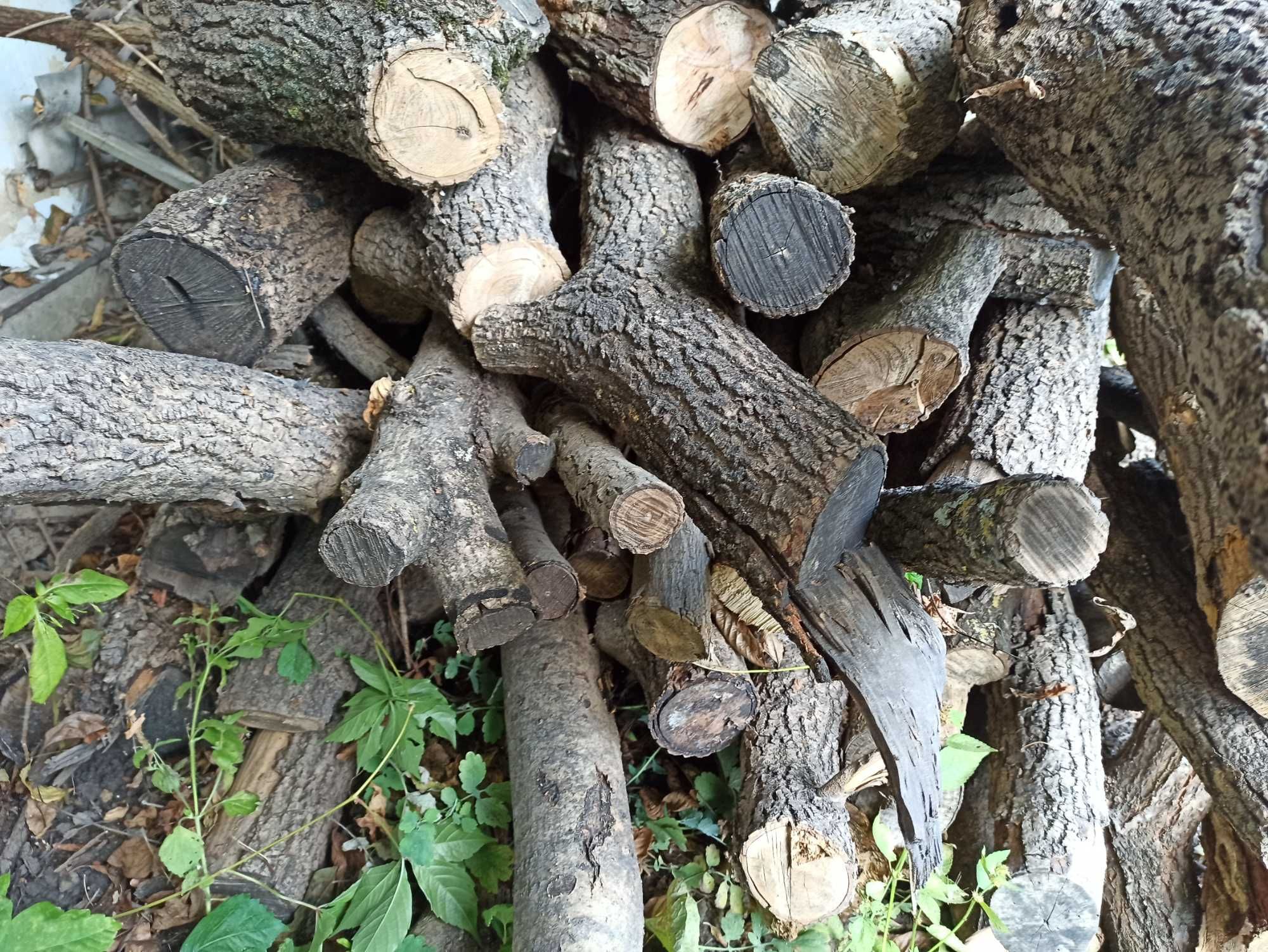 Продам дрова ясеня, груши