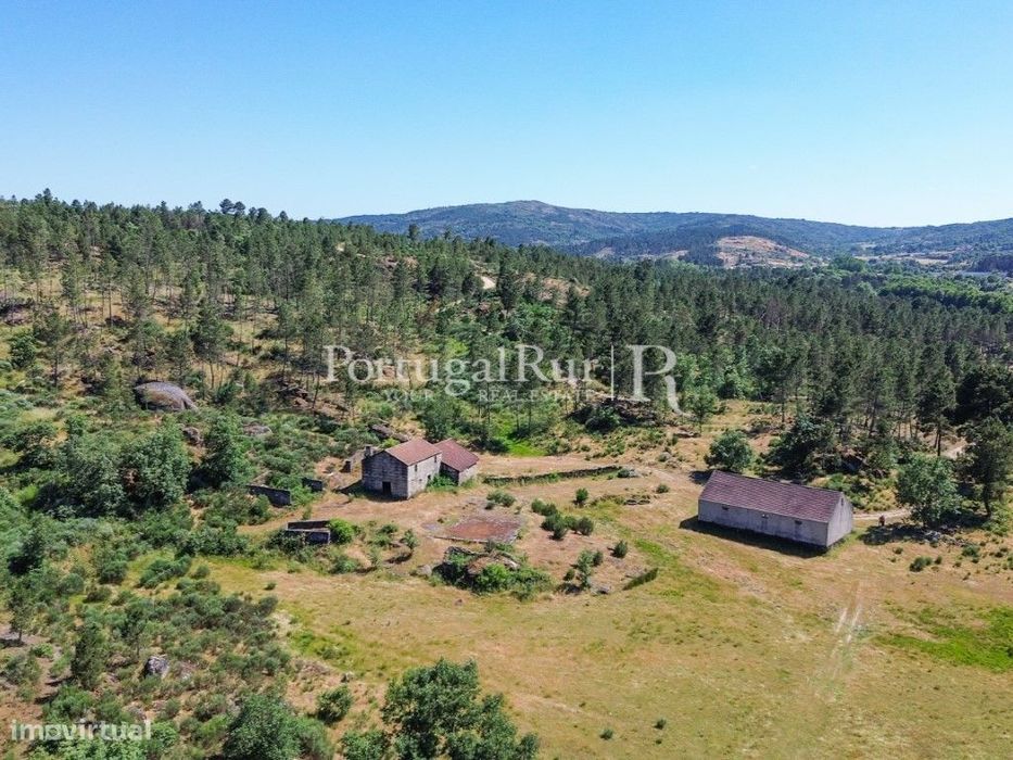 quinta com 29,03 hectares em Sernancelhe