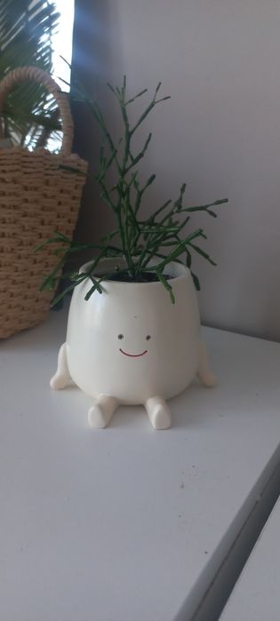 Kwiatek patyczak z osłonką