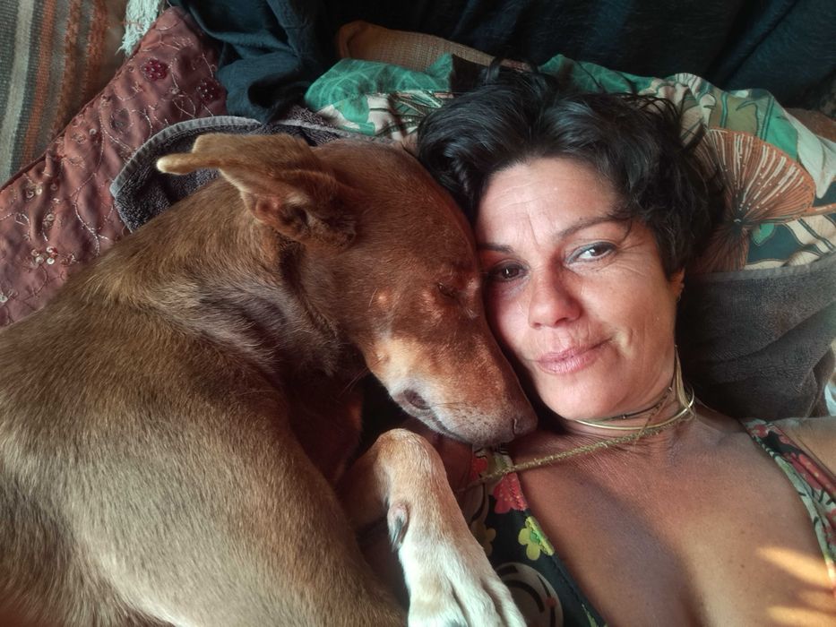 Faço limpezas,prédio, apartamento,decoração. Tb faço Pet sitting