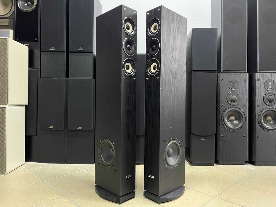 Kolumny podłogowe AEG LB4710 Audio Room