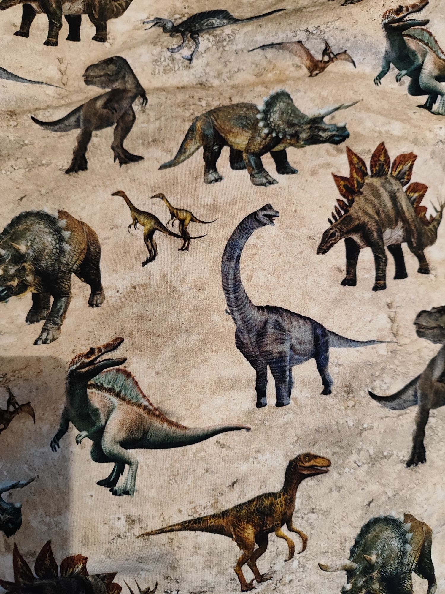 Zestaw dresówek dinozaury całość.