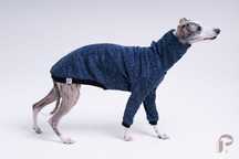 Whippet pomerdane bluza chart angielski