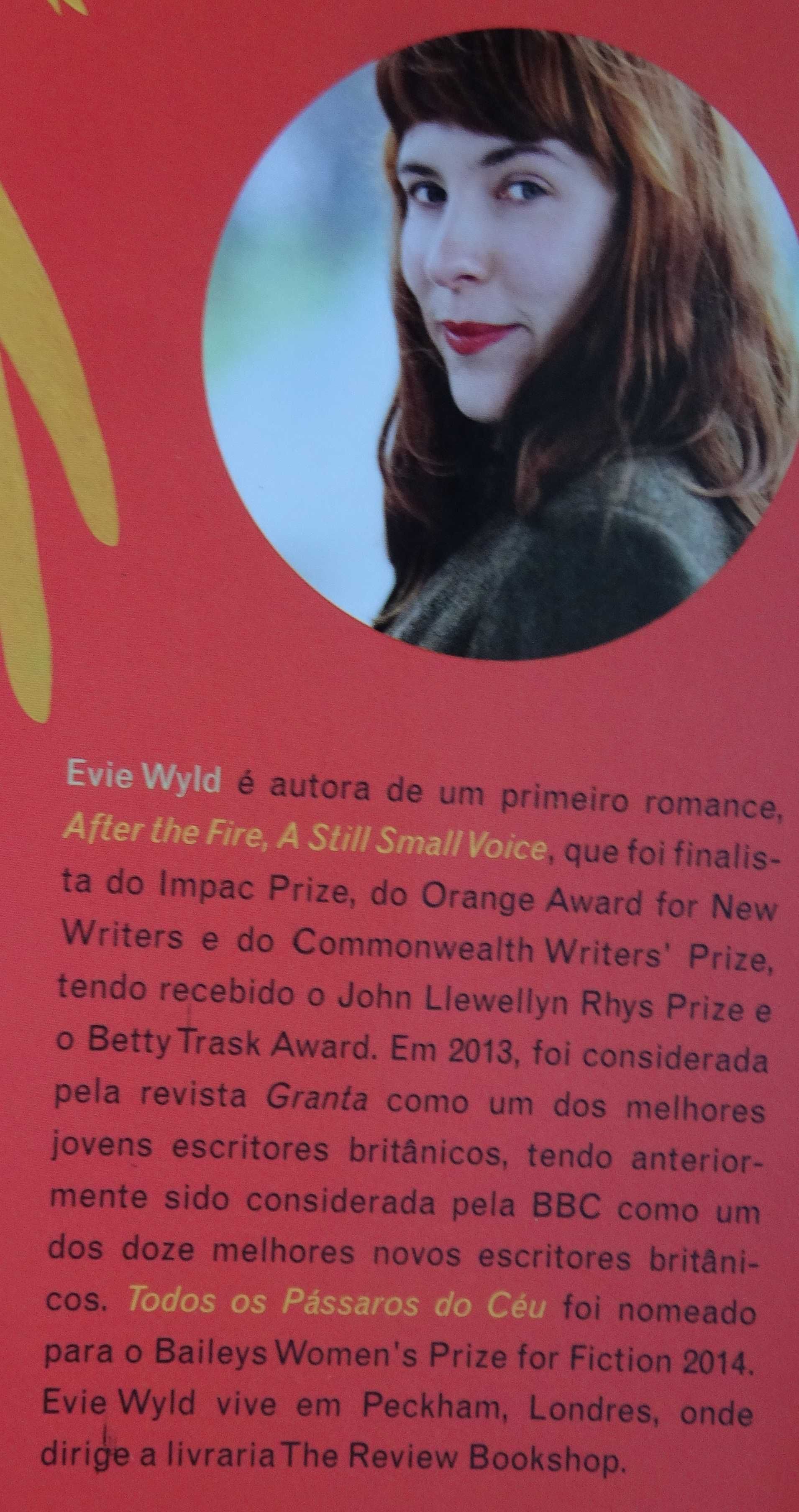 Todos Os Pássaros do Céu de Evie Wild