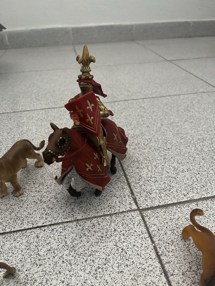Cavaleiro e 4 animais